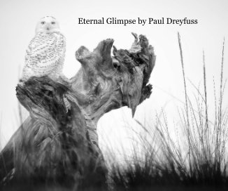Eternal Glimpse by Paul Dreyfuss book cover