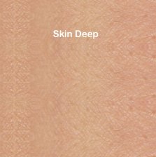 Skin Deep book cover