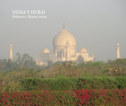 INDIA Y DUBAI Febrero y Marzo 2009 book cover
