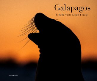 Galapagos book cover