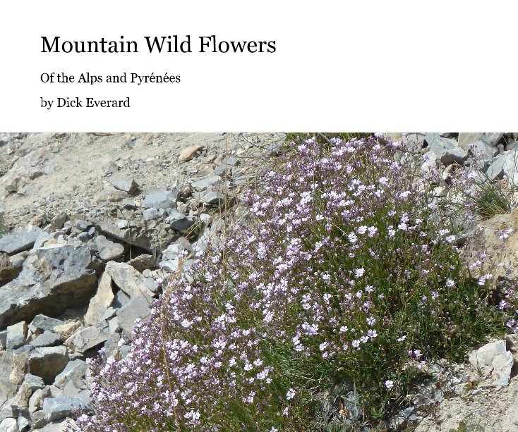 Ver Mountain Wild Flowers por Dick Everard