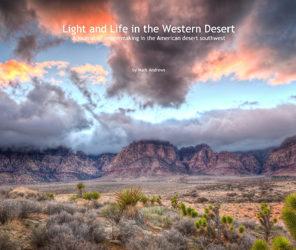 View Light and Life in the Western Desert by Mark Andrews