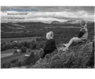Galleri Syningen 2014 book cover