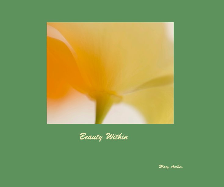 Ver Beauty Within por Mary Anthes