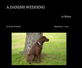 A DANISH WEDDING book cover