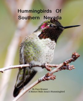 Hummingbirds Of Southern Nevada book cover