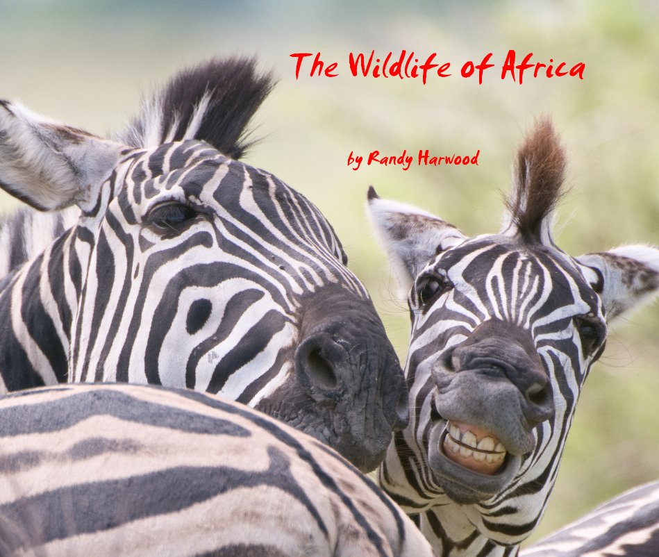 View The Wildlife of Africa by Randy Harwood