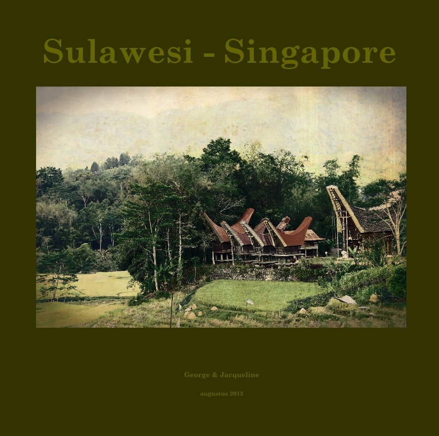 View Sulawesi - Singapore by George van der Woude