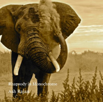 Rhapsody in Monochrome book cover