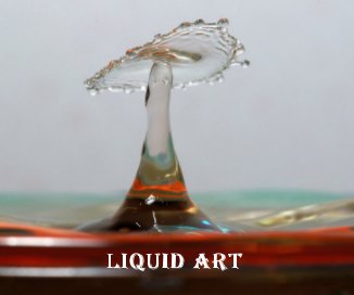 LIQUID ART book cover