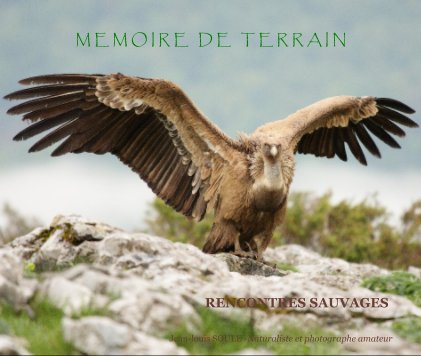 Mémoire de Terrain book cover