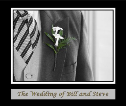 The Wedding of Bill and Steve book cover