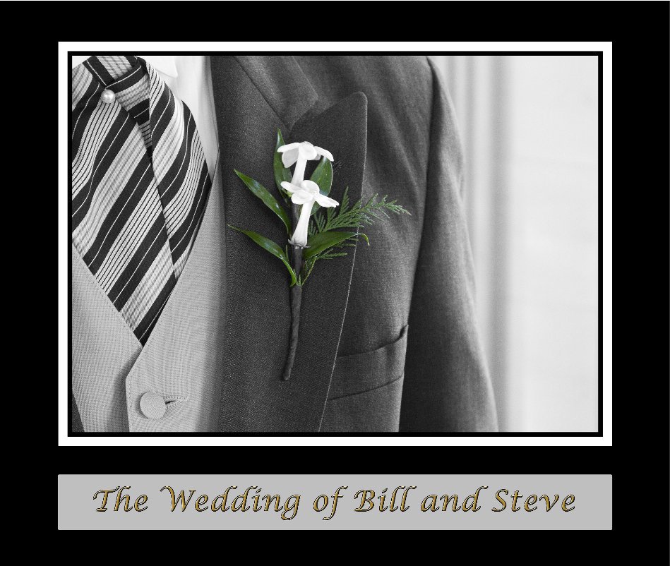 View The Wedding of Bill and Steve by by Steven Cranford