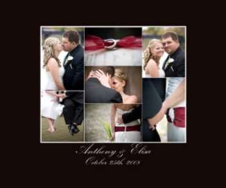 Elisa and Anthony's Wedding Day book cover