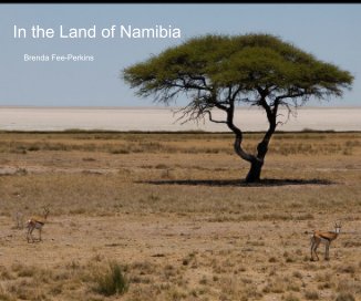 In the Land of Namibia book cover