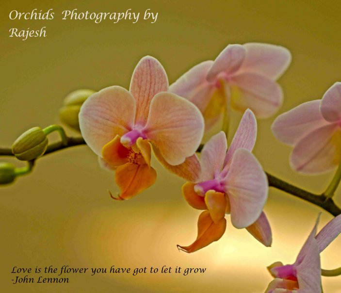 View Orchids by Rajesh Kumar