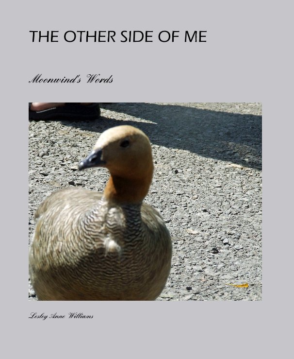 View THE OTHER SIDE OF ME by Lesley Anne Williams