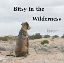 Bitsy in the Wilderness book cover
