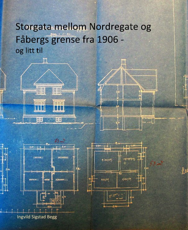 Ver Storgata mellom Nordregate og Fåbergs grense fra 1906 - og litt til por Ingvild Sigstad Begg
