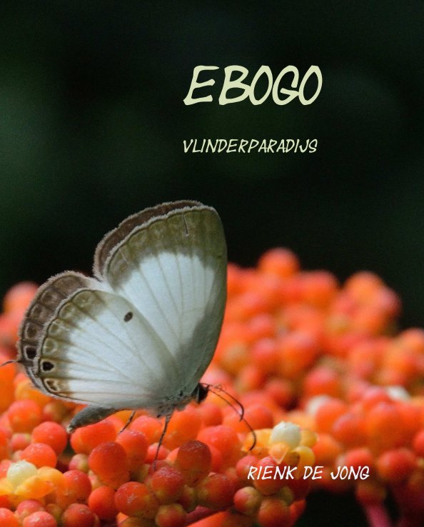 View Ebogo by Rienk de Jong