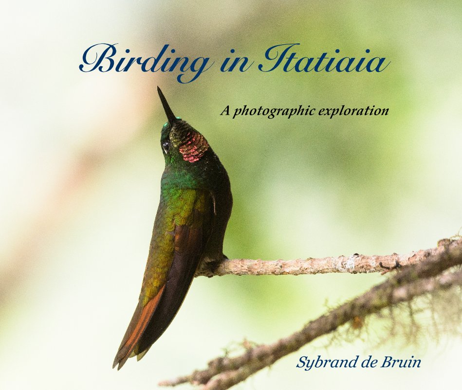 View Birding in Itatiaia by Sybrand de Bruin