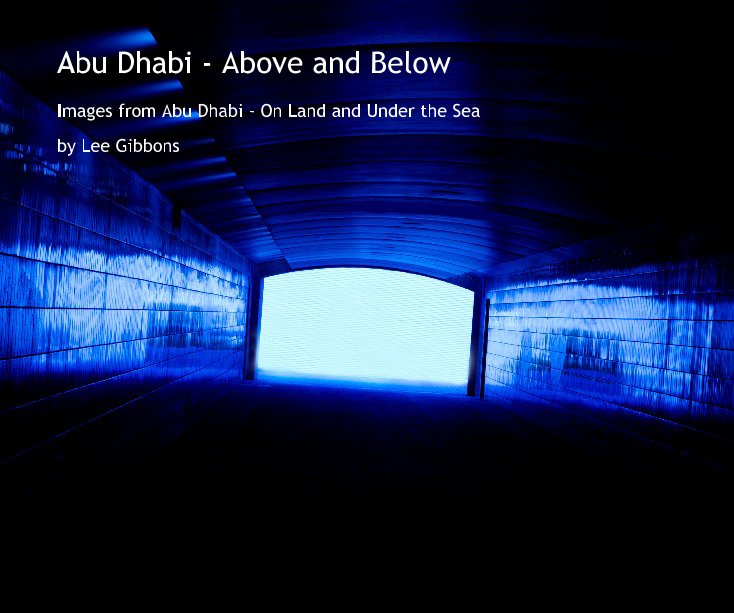 View Abu Dhabi - Above and Below by Lee Gibbons