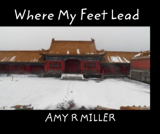 Where My Feet Lead book cover