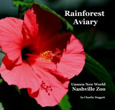 Rainforest Aviary book cover