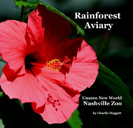 View Rainforest Aviary by Charlie Doggett