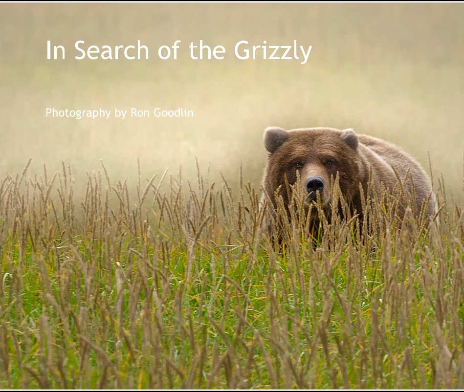 View In Search of the Grizzly by Photography by Ron Goodlin