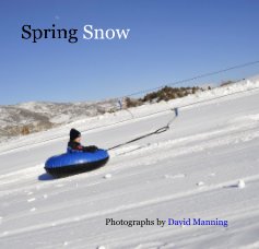 Spring Snow book cover