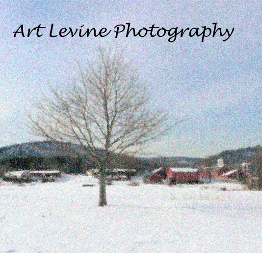 View Art Levine Photography by saxarthur