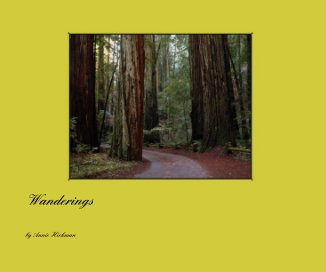 Wanderings book cover