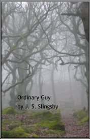 Ordinary Guy book cover