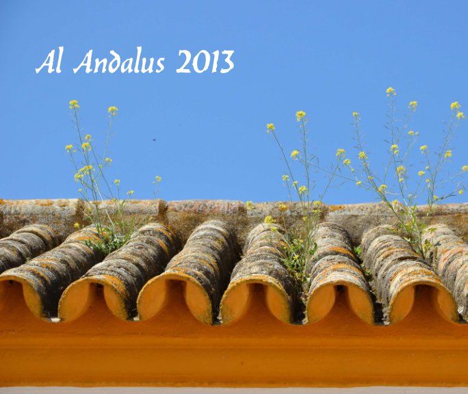 View Al Andalus 2013 by Michel Cantin