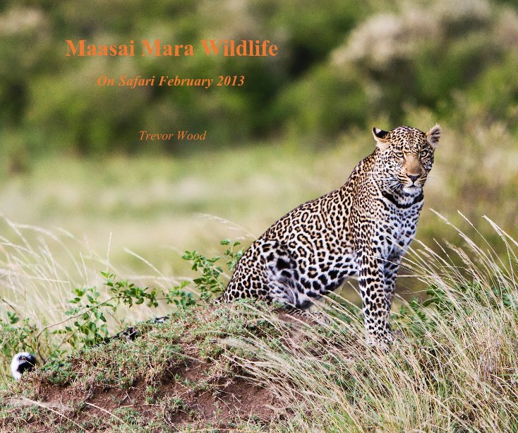 View Maasai Mara Wildlife by Trevor Wood