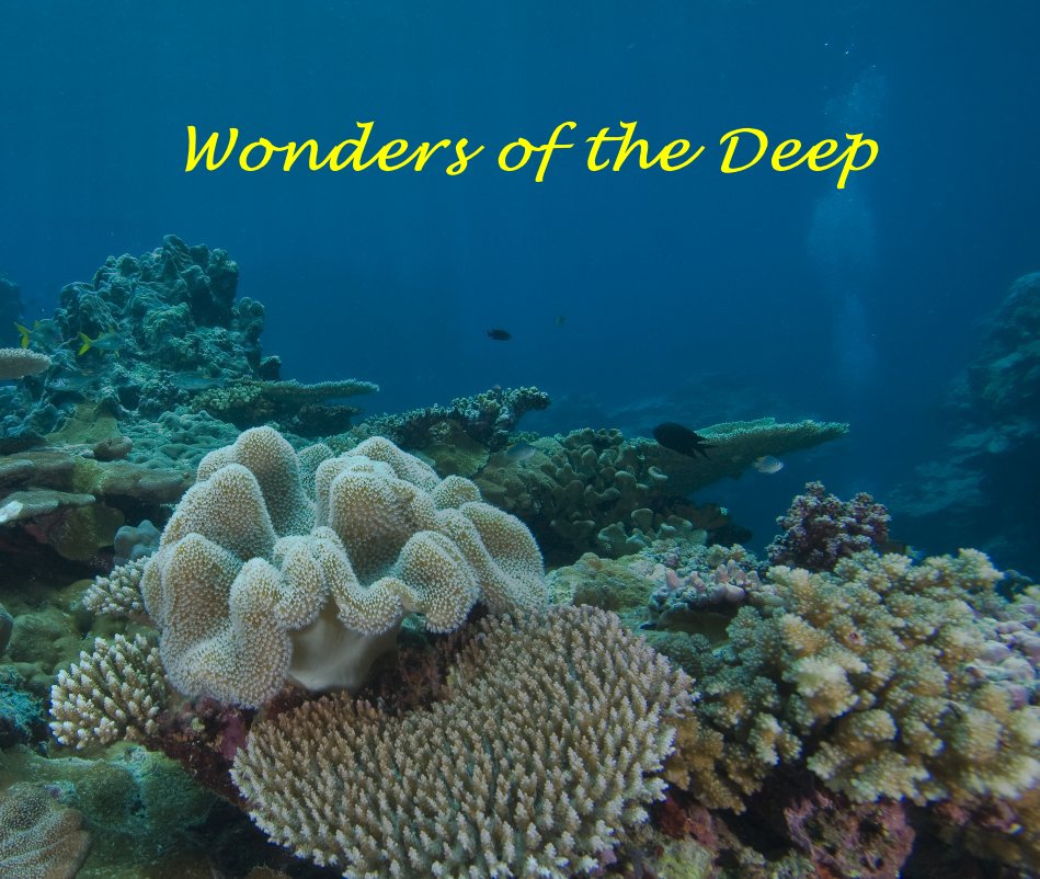Ver Wonders of the Deep por Mark Wadleigh