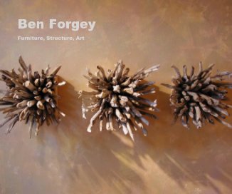 Ben Forgey book cover
