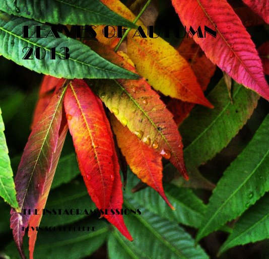 Ver Leaves of autumn 2013 por kevin scott koepke