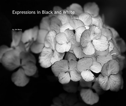 Expressions in Black and White book cover