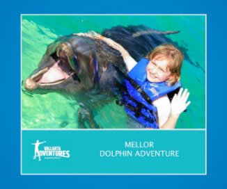 Mellor Dolphin Adventure book cover