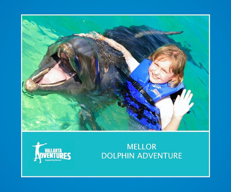 Ver Mellor Dolphin Adventure por Vallarta Adventure