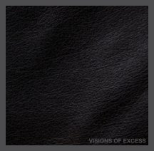 Visions of Excess book cover