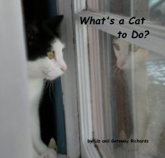 What's a Cat to Do? book cover