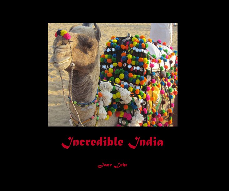 Visualizza Incredible India di Jane Lehr