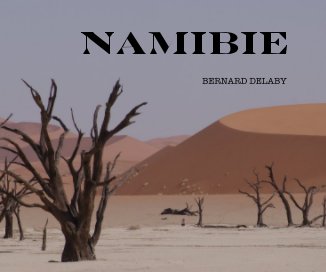 Namibie book cover