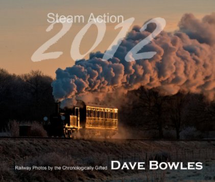 Steam Action 2012 book cover