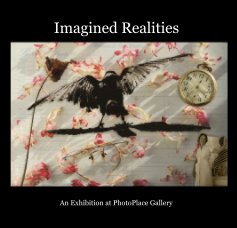 Imagined Realities book cover