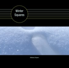 Winter Squares book cover