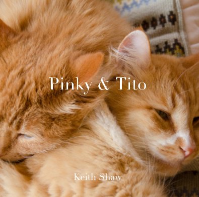 Pinky & Tito book cover